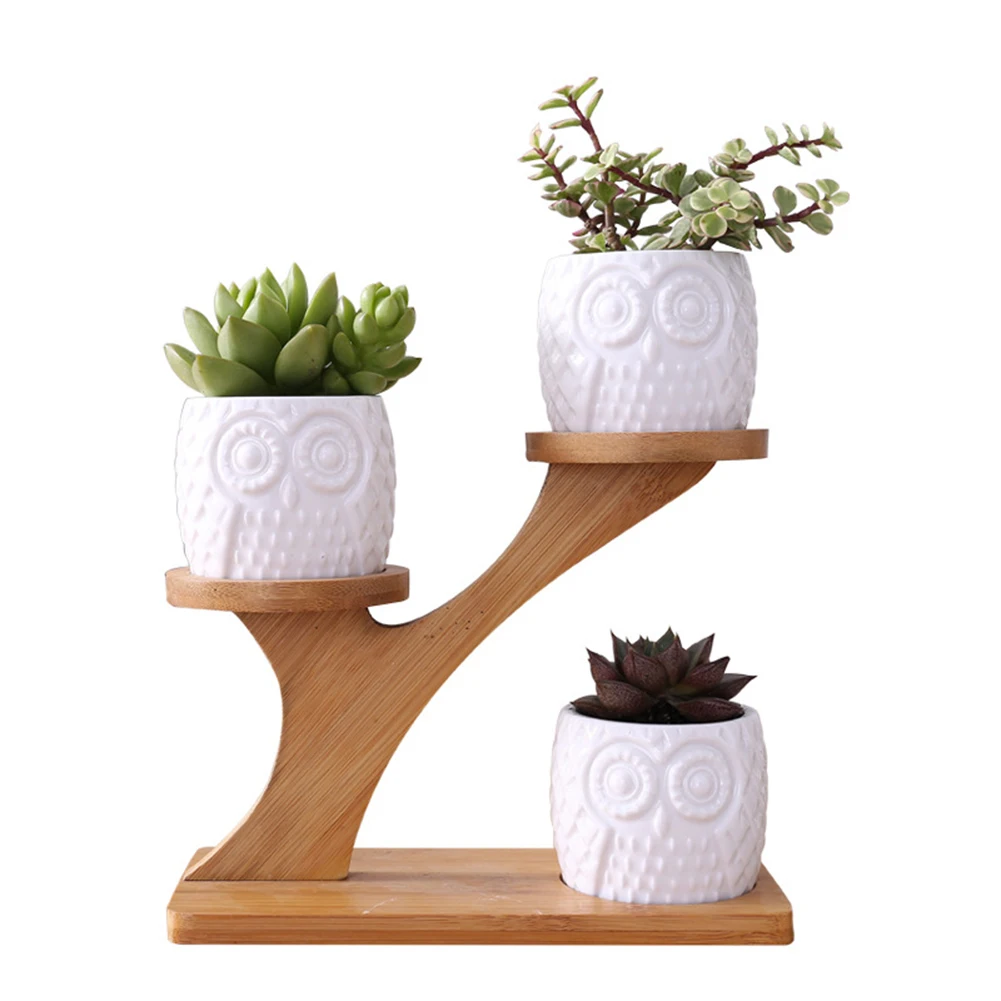 

1Set Ceramic Owl Garden Pots Creative Decorative Nursery Succulent Plant Pot 3 Bonsai Planters with 3-Tier Bamboo Shelf