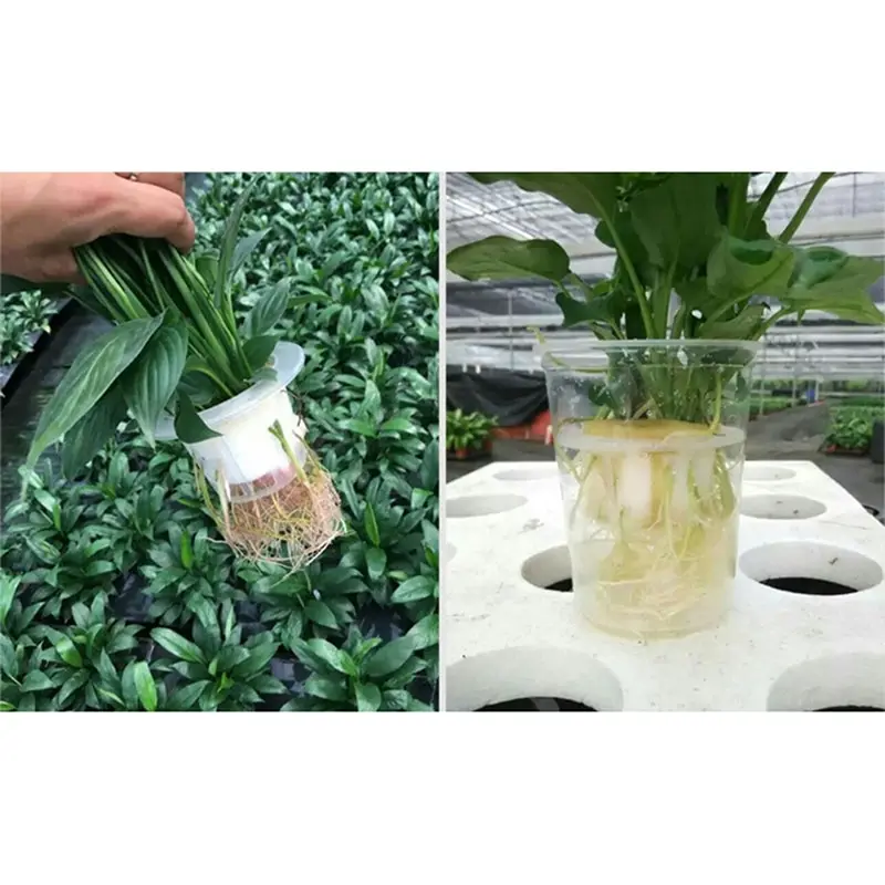 1 шт. Soilless Гидропонные овощи детская Губка Цветок кассеты для рассады выращивания Soilless губки для растений