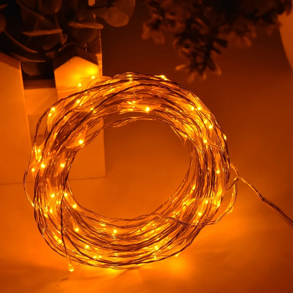 Светодиодный наружный Серебряный провод DC12V 5 м/10 м светодиодный лоза струнный