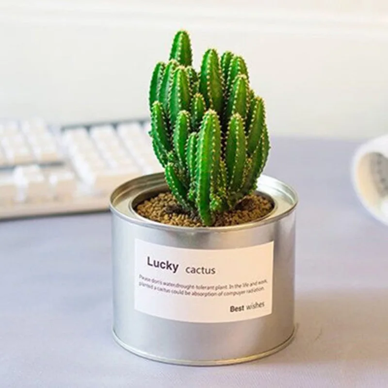 Металлический цветочный горшок Железный контейнер для хранения суккулентов