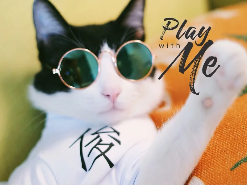 Щенок маленькие собаки кошка солнцезащитные очки Pet очки Тедди Забавный головной убор используется для фотосъемки