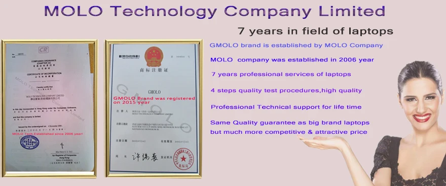 GMOLO бренд 14 дюймов ноутбук Quad core N3450 6 ГБ Оперативная память+ 500 ГБ и 64 ГБ EMMC камеры bluetooth ноутбук с Windows 10 comoputer