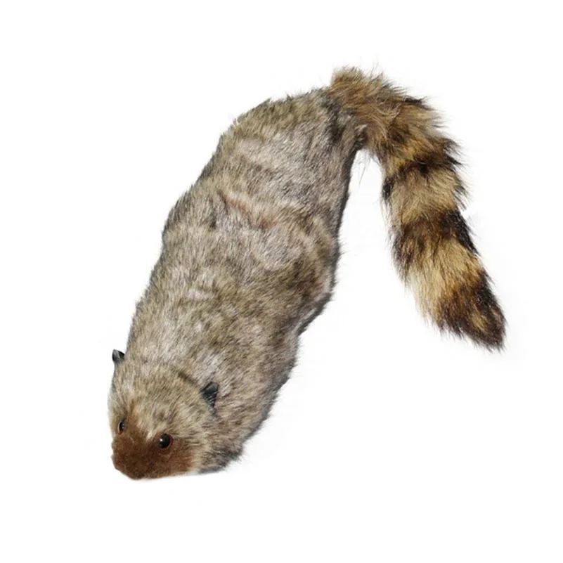 Классический Рокки Енот магический Робби фокусы сценические иллюзии трюки