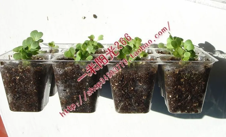 4 комплекта/lot.10 отверстие подносы, садовый инвентарь. пластиковый горшок. горшок для рассады, поднос для рассады, шасси с прозрачной крышкой