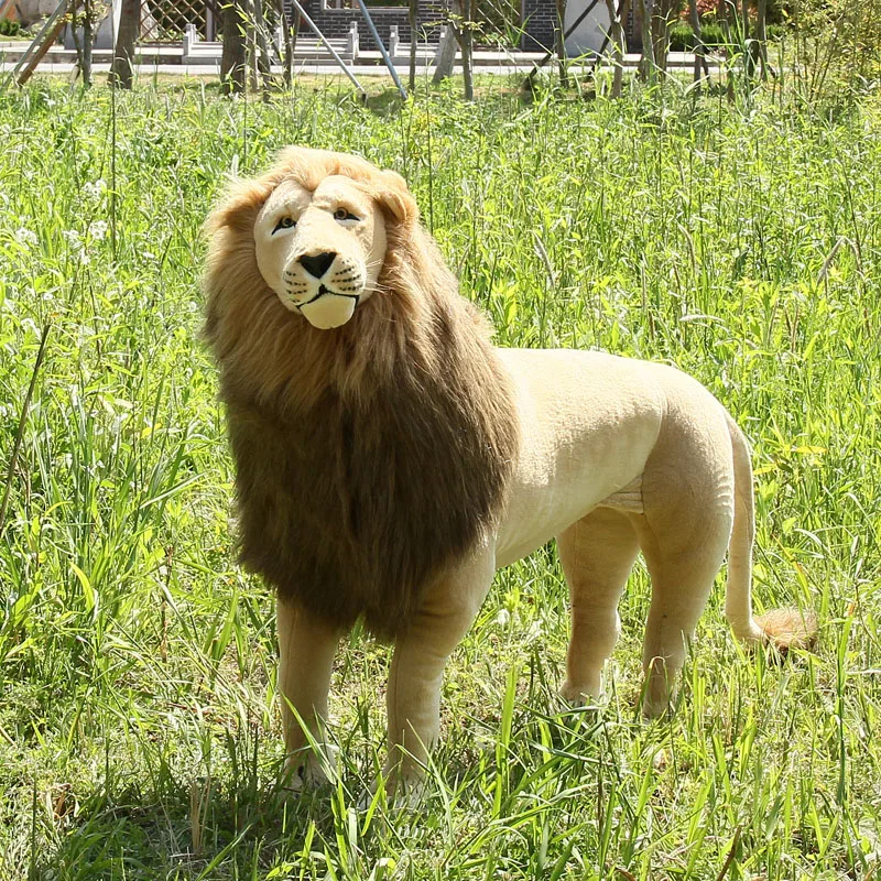 Рисунок 4 - Dorimytrader Simulation Лесной