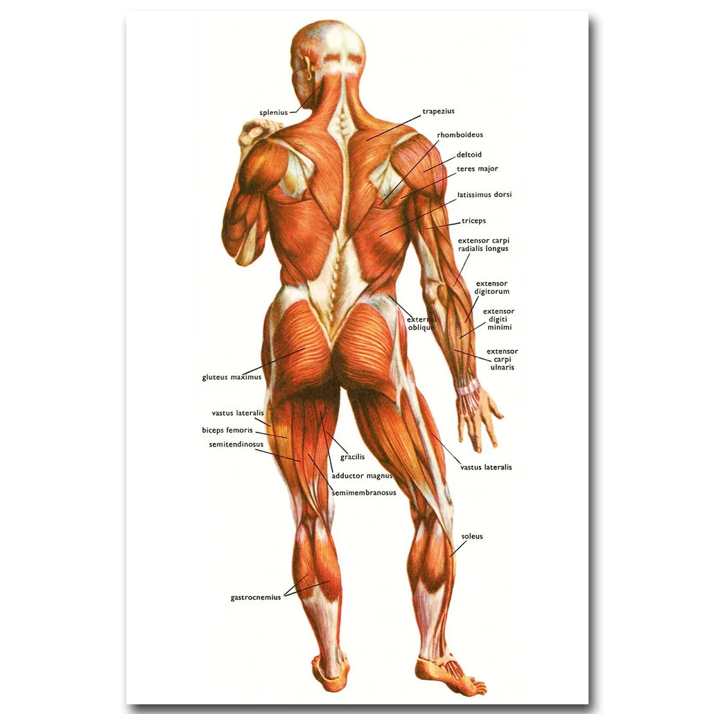 Плакат из шелковой ткани 16x24 24x36 дюймов|poster print|cloth posterprints pictures |