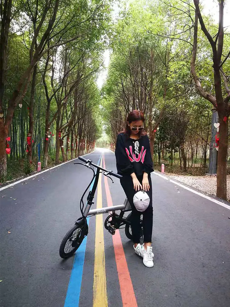 16-дюймовый Электрический biycle литиевая батарея малой мощности Электрический велосипед 36В 250 Вт мотор-Сити