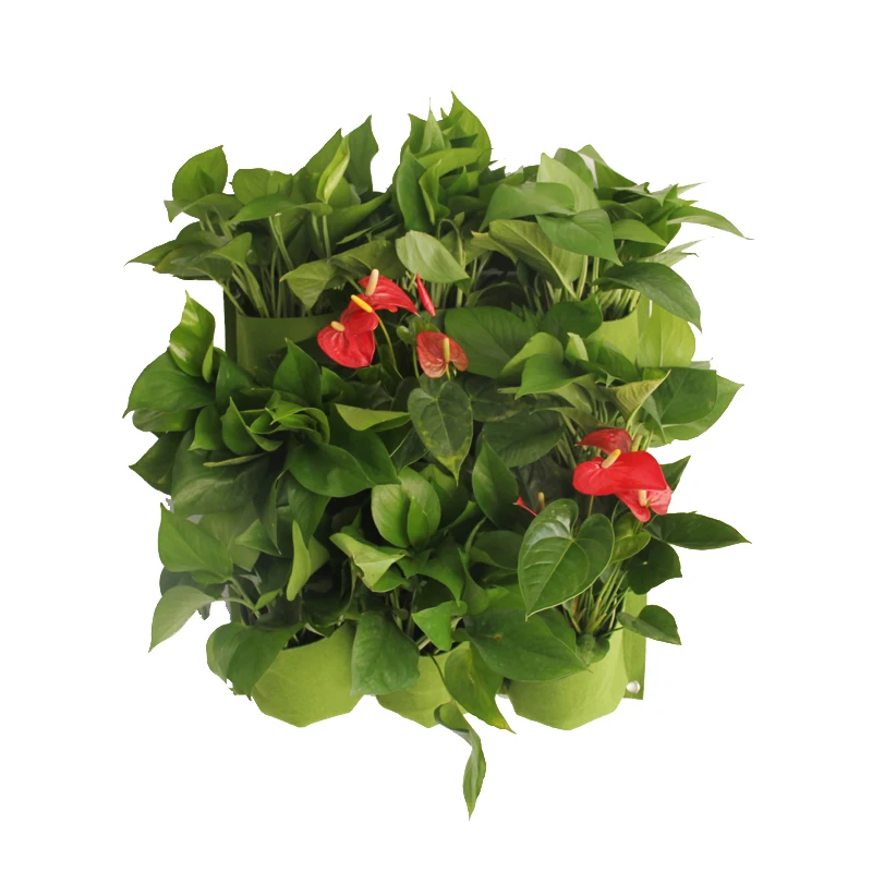 Водонепроницаемый вертикальный садовый фотоальбом 9 отделений пакеты для