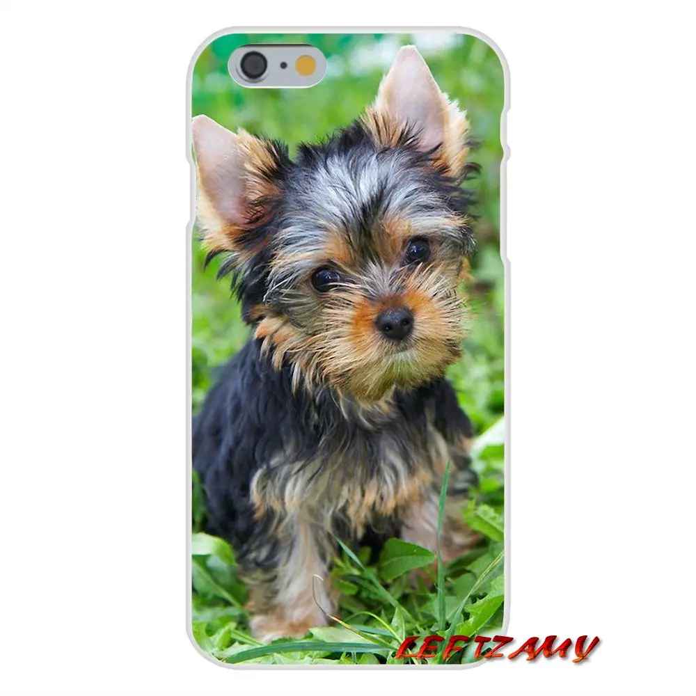 Эрдельтерьер собака art для huawei P8 P9 P10 Lite 2017 честь 4C 5X 5C 6X Коврики 7 8 9 10 Pro Аксессуары