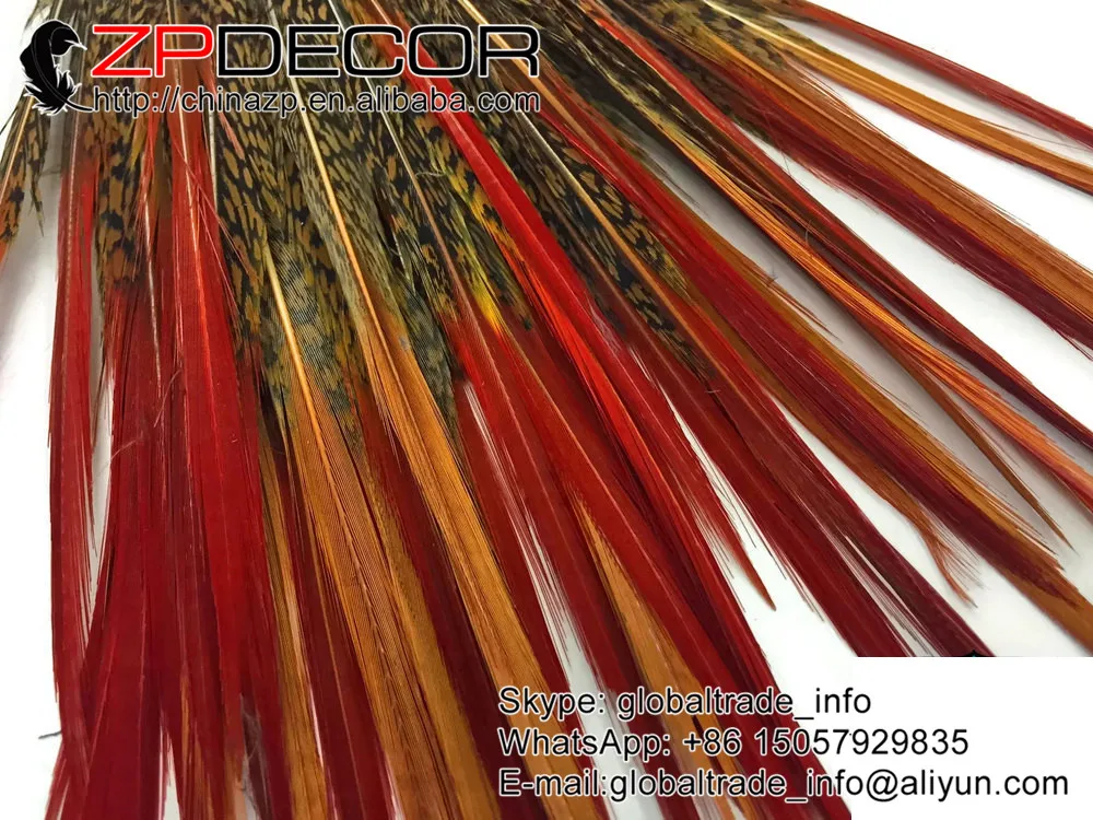 ZPDECOR 8-10 дюймов (20-25 см) 50 шт ручной выбор красивый натуральный Золотой фазан