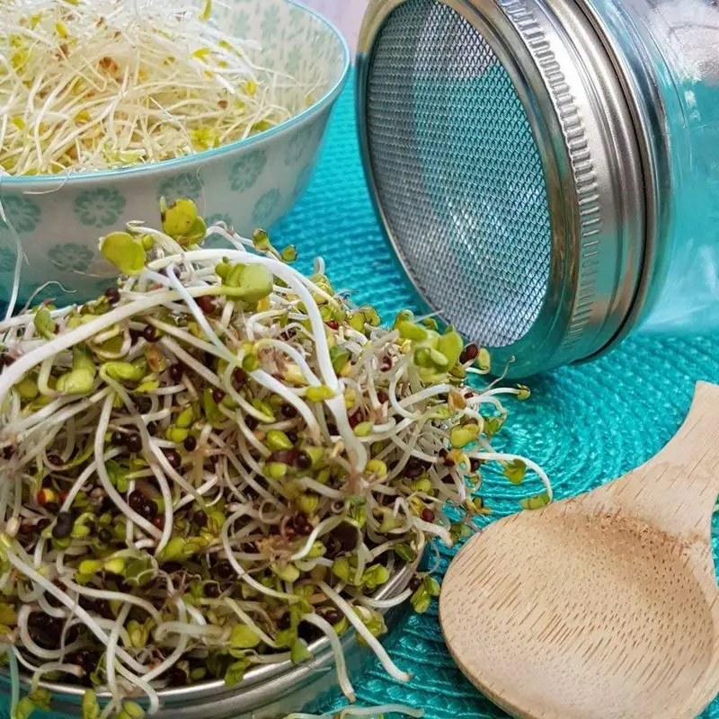 10 Упаковка нержавеющая сталь Sprouting крышки Изогнутая сетка Jar комплект крышек для