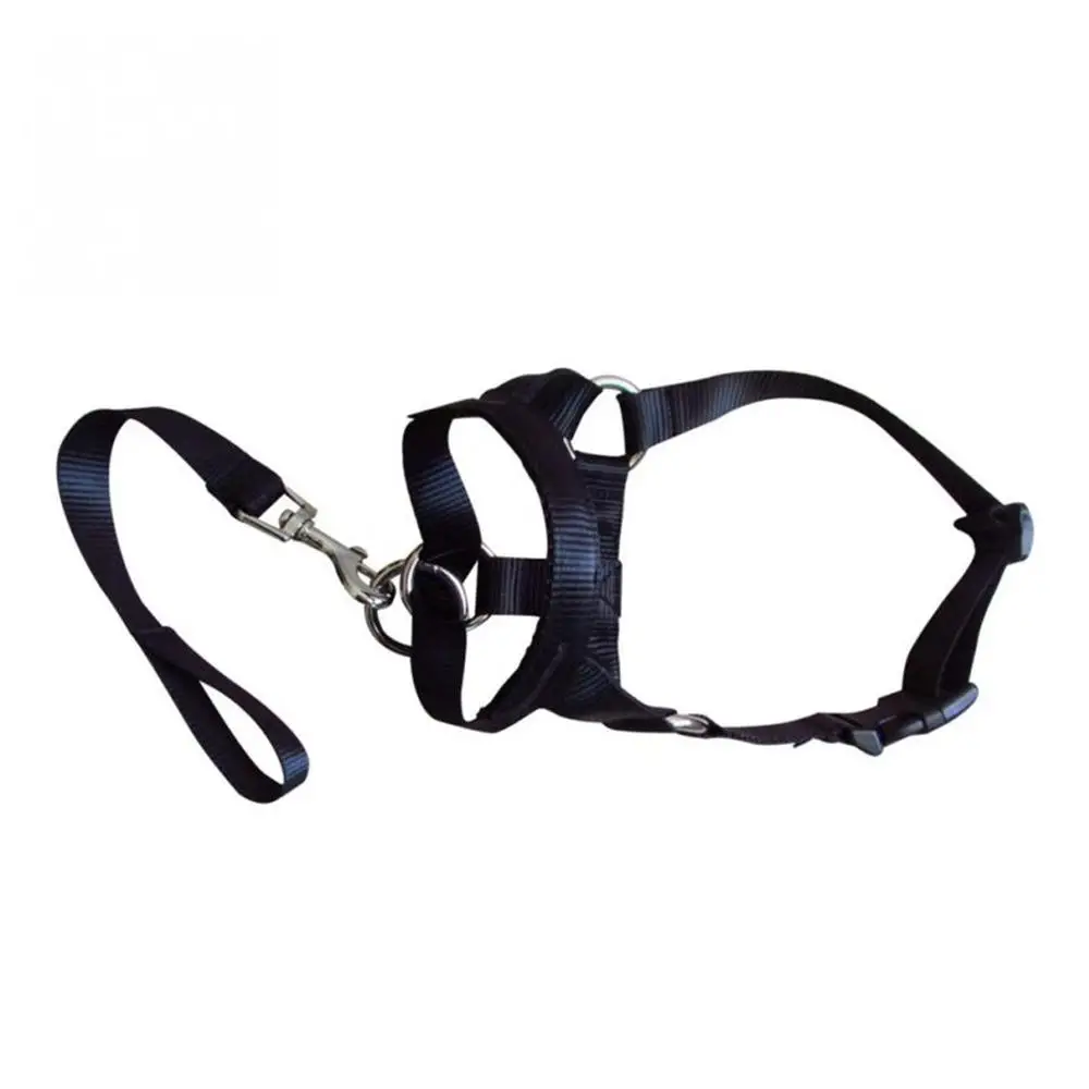 Ошейник для собак мягкий поводок на лямках тренировок ошейник черный S/M/L/XL | Дом и