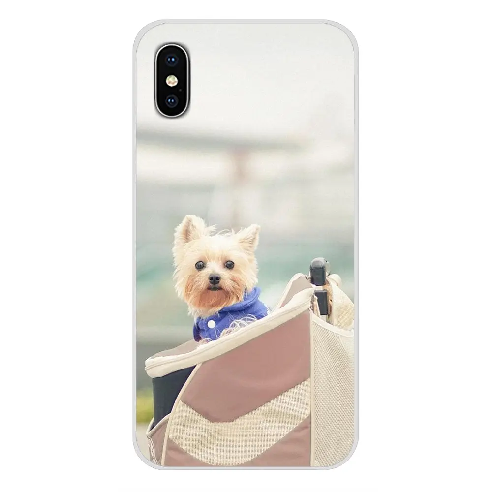 Чехлы для мобильных телефонов West Highland White Terrier Dog Scotland Samsung Galaxy S4 S5 MINI S6 S7 edge S8 S9 S10 Plus