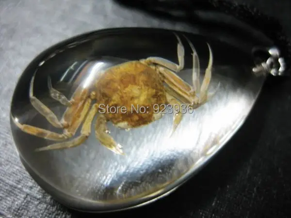 /Партия оптовая продажа 8 шт. супер модные Настоящее золотое carb Модные лед ясный