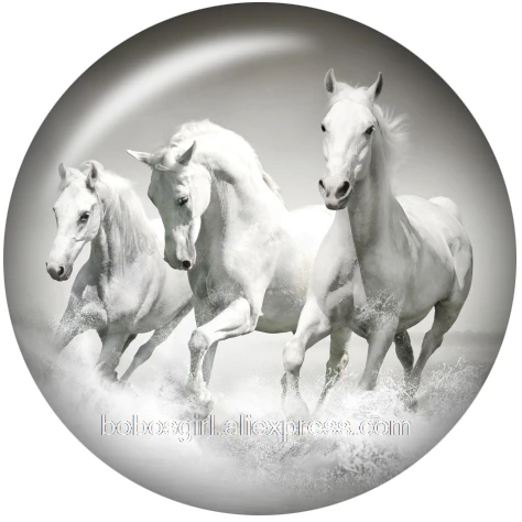 horse glass snap button for snaps jewelry Round photo cabochons DA1072 - Окраска металла: A4684