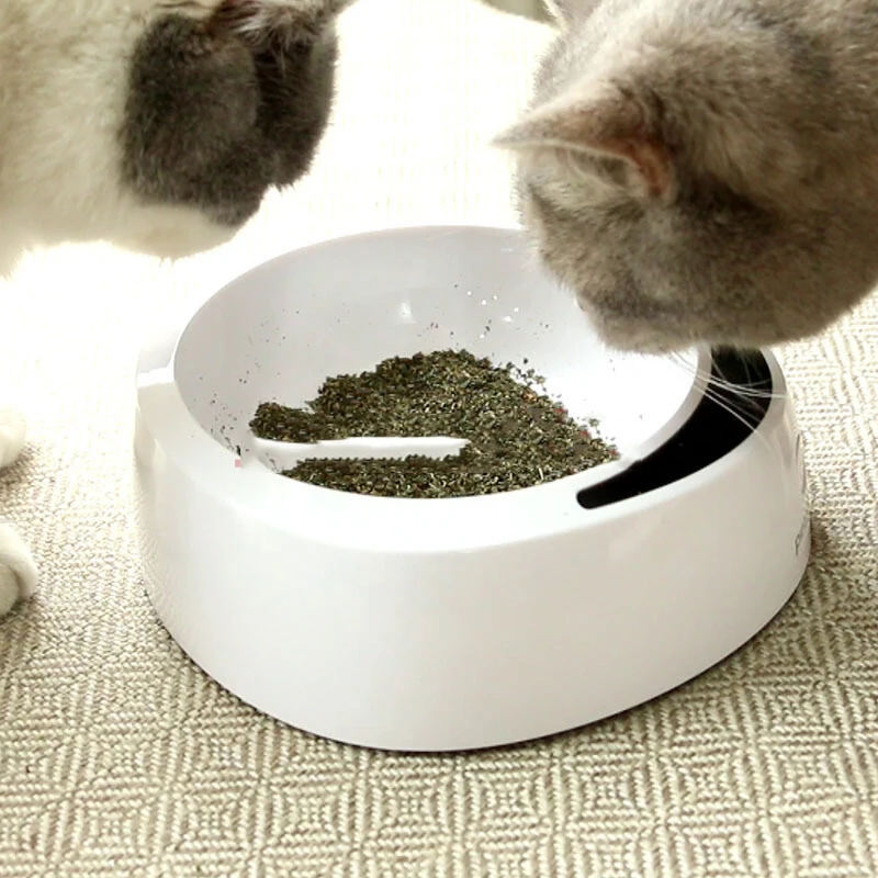 Просто Catnip натуральный органический Премиум 25 г мятный ментоловый аромат можно