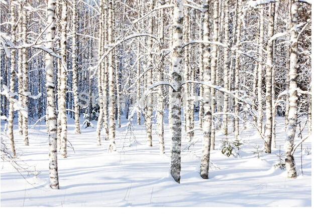 Бесплатная доставка на заказ современные 3D росписи гостиной диван спальня ТВ фон