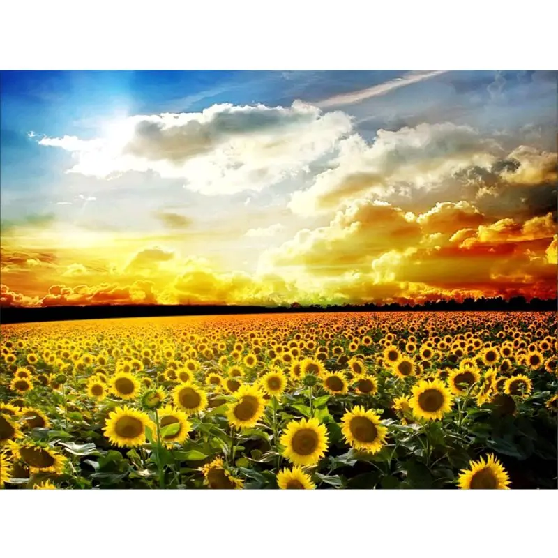 Sunflower 5D DIY полная дрель алмазная живопись вышивка крестиком набор домашний декор