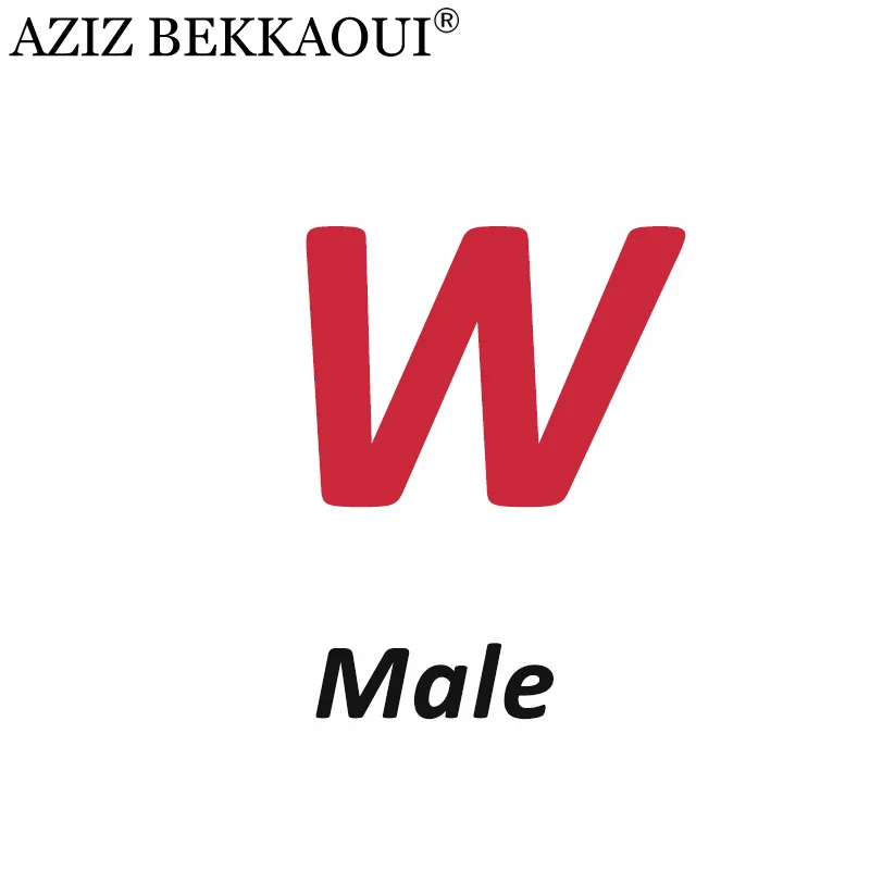 Male W AZIZ BEKKAOUI DIY обслуживание на заказ специальный зимний подарок для друзей, любимых подарок на день Святого Валентина Прямая поставка 3040-49 - Окраска металла: Male W