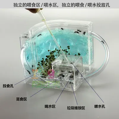 3D ANT ферма вилла домашней мастерской 0 5 кг 120*120*120 мм|Террариумы| |