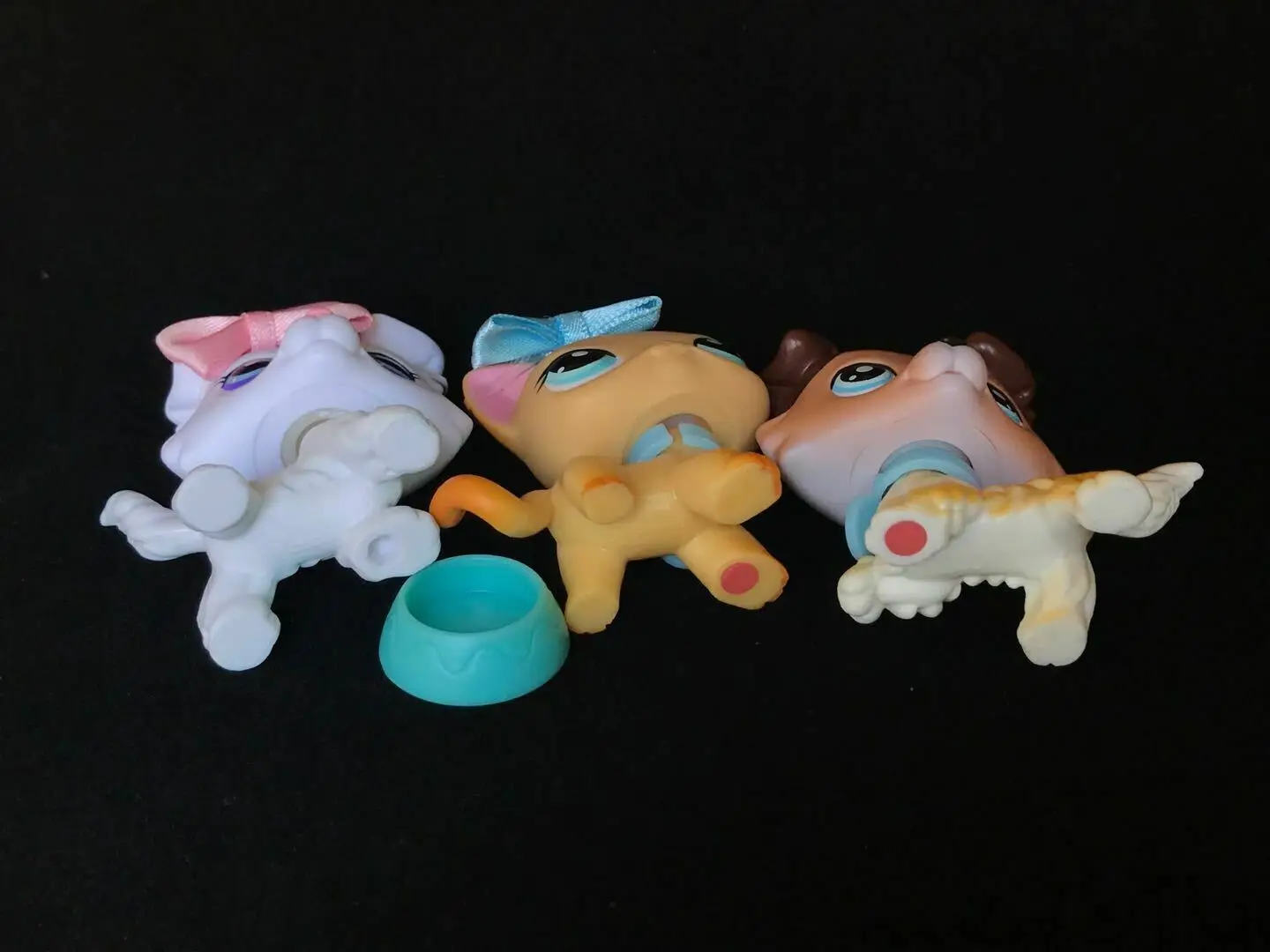 Зоотовары новые колли белые голубые глаза #58 короткие волосы кошки #339 wtih мини