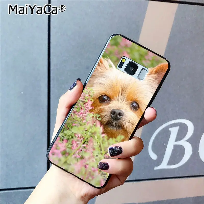 MaiYaCa чехол для телефона с щенком йоркширского терьера Samsung Galaxy S20 S8 S7 edge S6 S10Plus S10lite