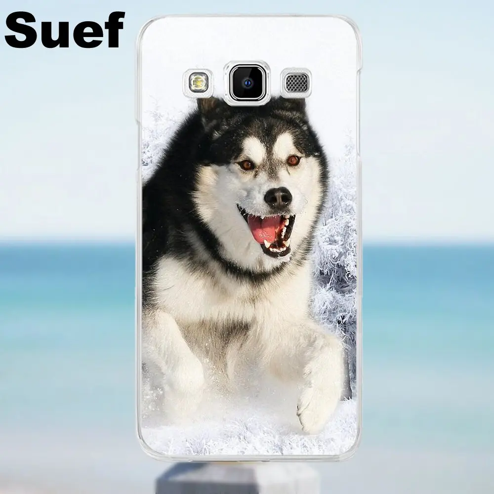 Suef Lovely Dog Siberian Husky Soft TPU Phone Case For Galaxy Alpha Core Prime Note 2 3 4 5 S3 S4 S5 S6 S7 S8 mini edge Plus | Мобильные