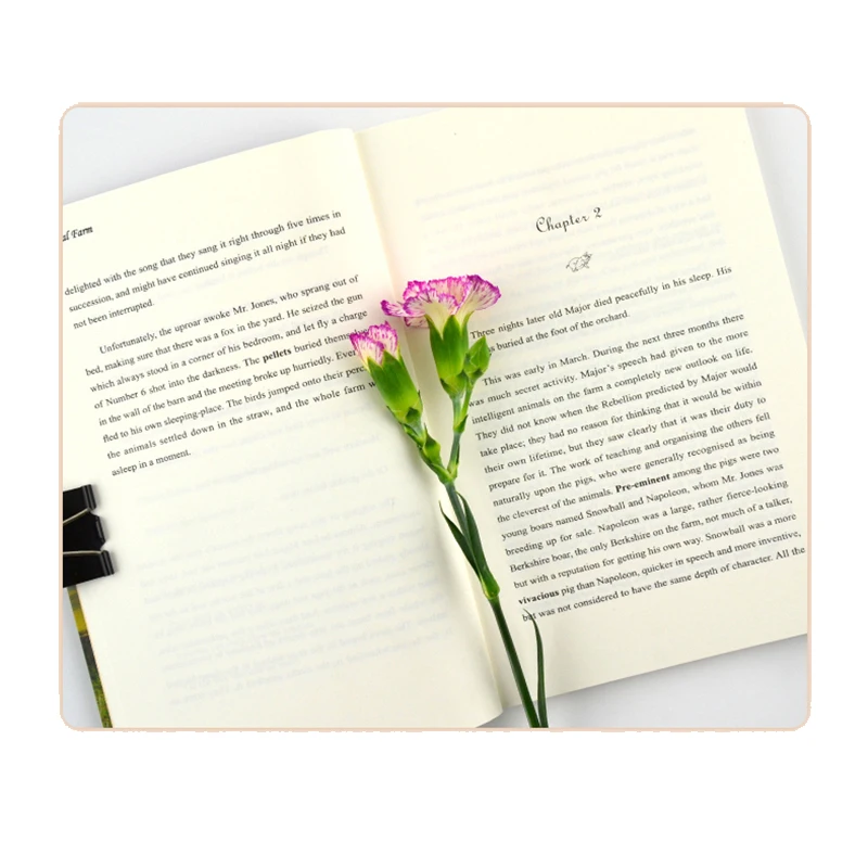 Книга для взрослых и детей английская версия книги чтения с животными на ферме