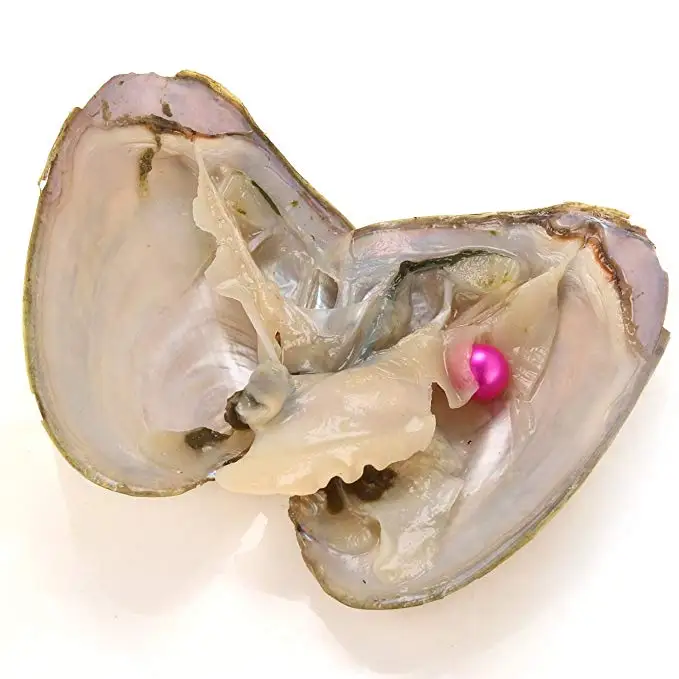 

HENGSHENG 10 PCs Freshwater Peal Oysters with 6-8 mm Nearly Round Loose Pearls Inside Mix Color Love Wish