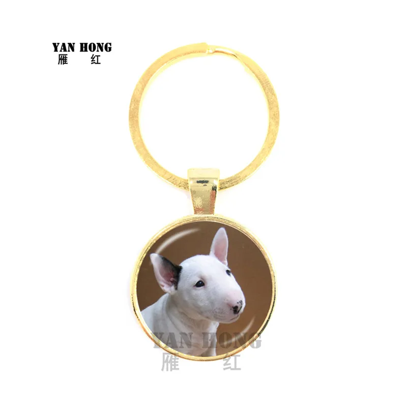 YANHONG 2019 животные сани энтузиаст Ранд стеклянный купол Почетная серия