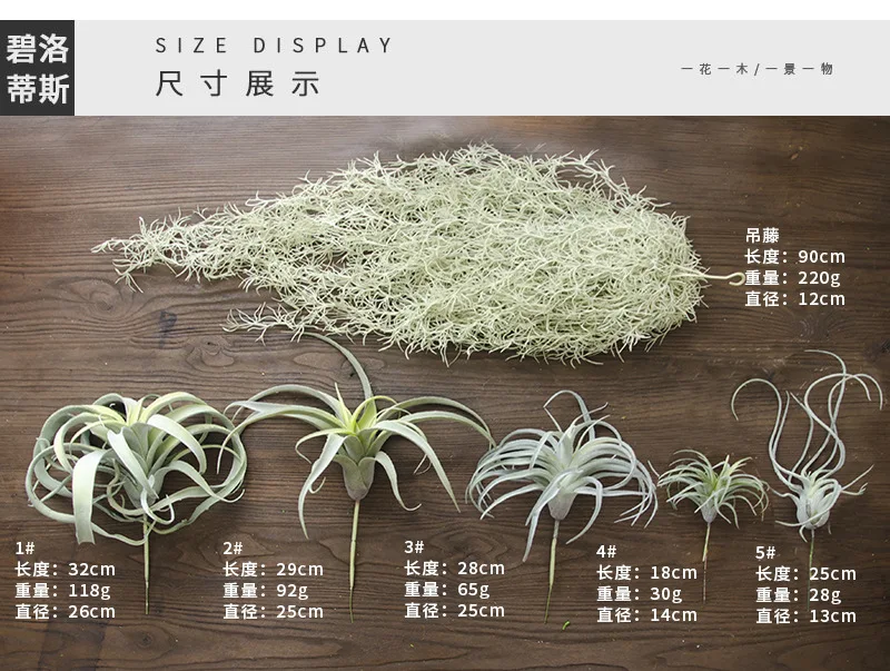 Bulbosa хлопок конфеты Детские Осьминог Искусственные Поддельные airplant тилландсия Capitata Steptophylla usneoid как настоящие растения суккулент