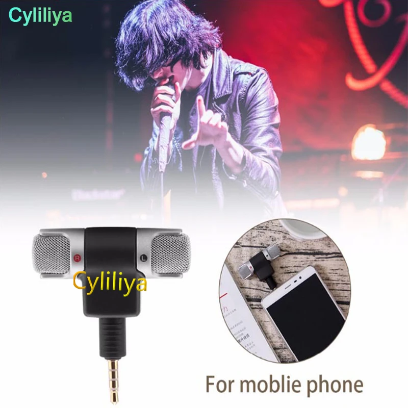 300 шт./партия портативный мини микрофон|Микрофоны| |