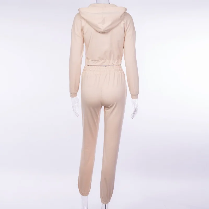 Genayooa Casual Women Two Piece Outfits Short Hoodies Women Zip Tracksuit Women 2 Piece Set Lace Up High Waist Loose Pants
