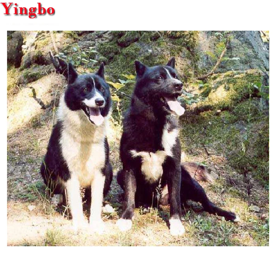 DIY Алмазная картина животное полный квадратный алмаз Карельский медведь собака 3D