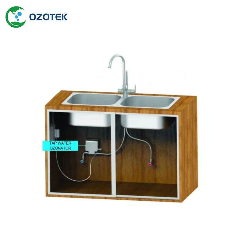Озоновый генератор питьевой воды OZOTEK 12 В TWO003 0 2-1 PPM 200-900 LPH бесплатная доставка |