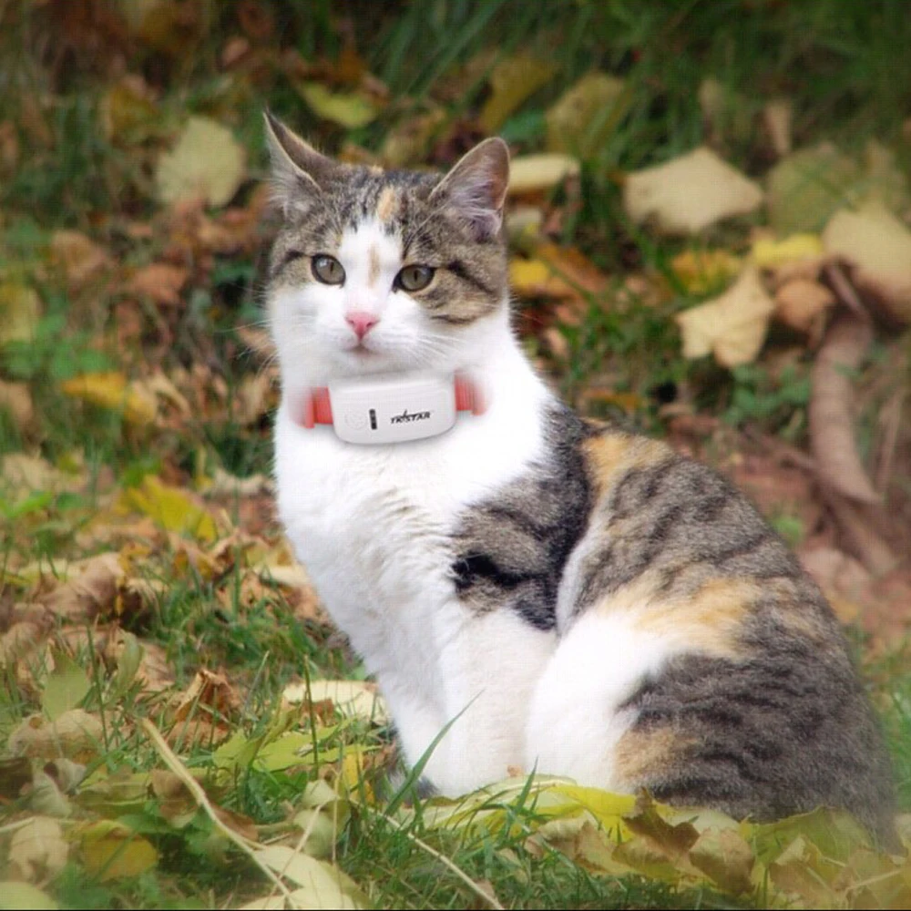 GPS трекер горячая Распродажа Mini с ошейником водонепроницаемый локатор в режиме