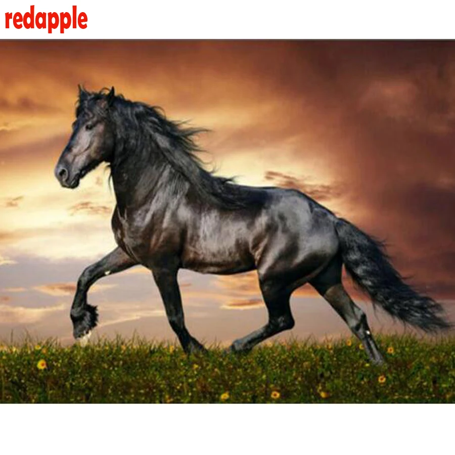 

5d Diy Diamond Painting Cross Stitch kits black Horse Running In The Steppe 3d Diamond Embroidery Crystal Diamond Mosaic decor