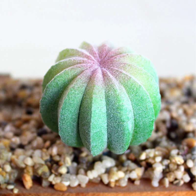 Искусственные суккуленты для сада миниатюрный фальшивый кактус сделай сам дома