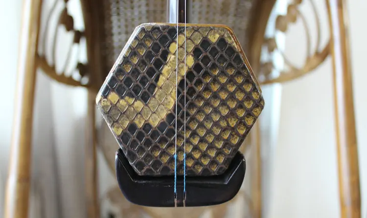 Китайский erhu оптовая продажа суперхороший питоновый кожа превосходный голос