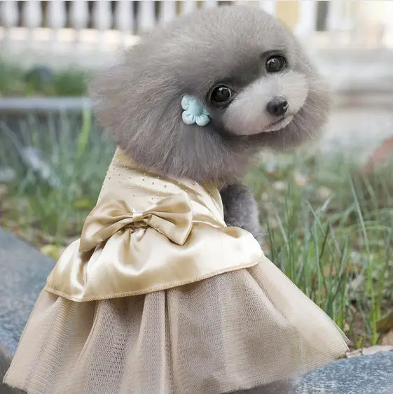 FD105 Бесплатная доставка кружевная юбка для свадебной вечеринки с изображением