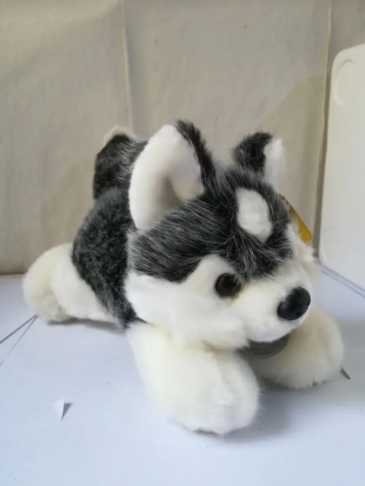 

about 26cm lovely prone husky dog plush toy soft doll high quality, baby toy birthday gift s2001