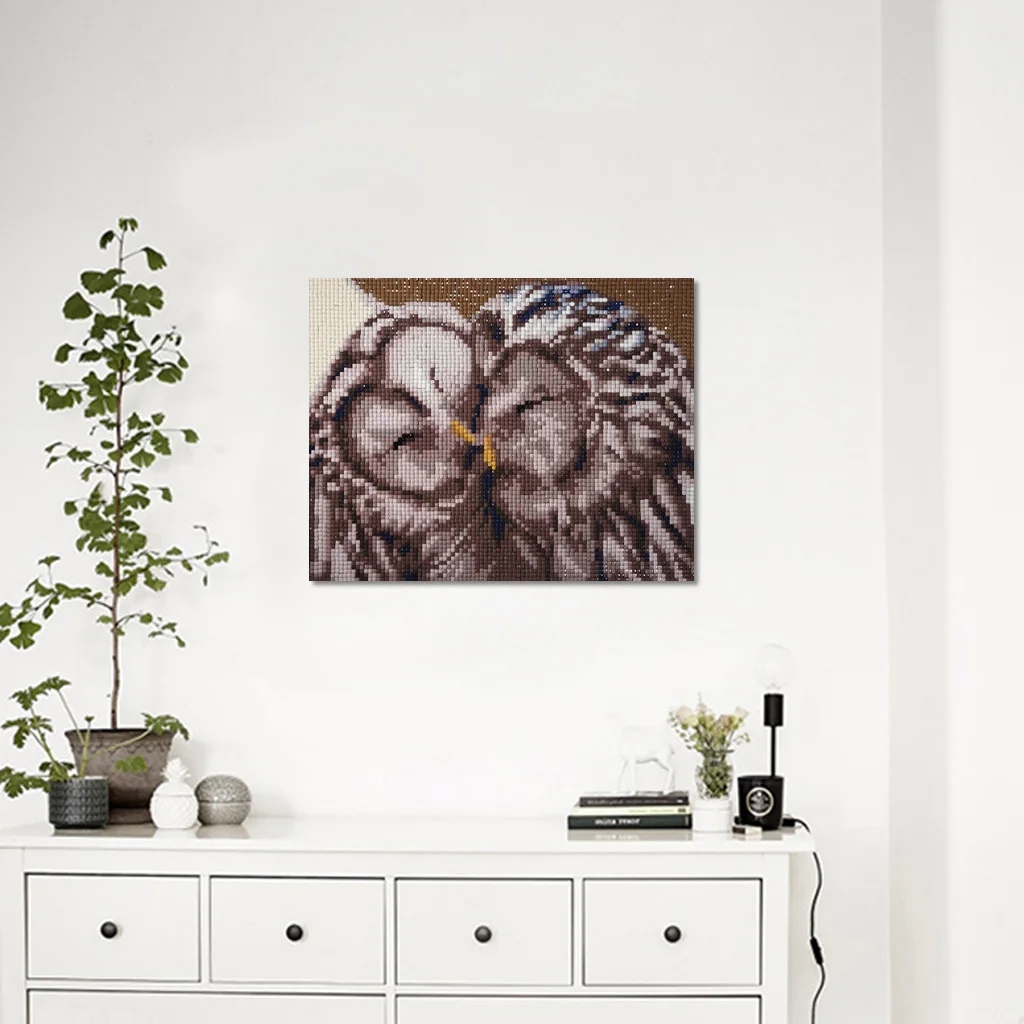 Алмазная вышивка особой формы сова пары алмазная картина сделай сам живопись