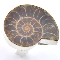 promotion jewerly unique nautilus ammonite fossil antique wedding rings russia usa holiday rings australia rings