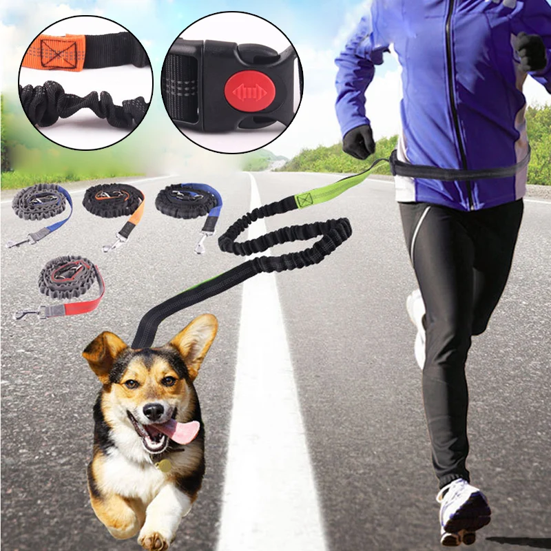 

Pet leash Dog Leash Running Elasticity Hand Freely Pet Products Dog Harness Collar Jogging Lead and Adjustable Waist Rope