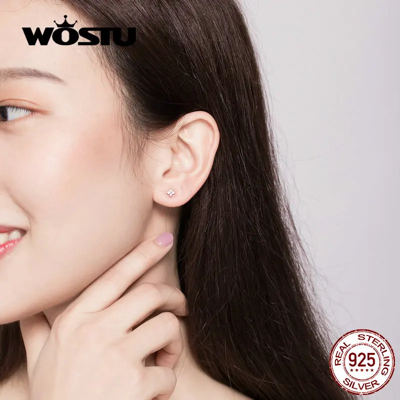 WOSTU цветок маленькие серьги 925 пробы Серебряный сверкающий циркон серьги для женщин массивные серебряные 925 ювелирные изделия CQE648