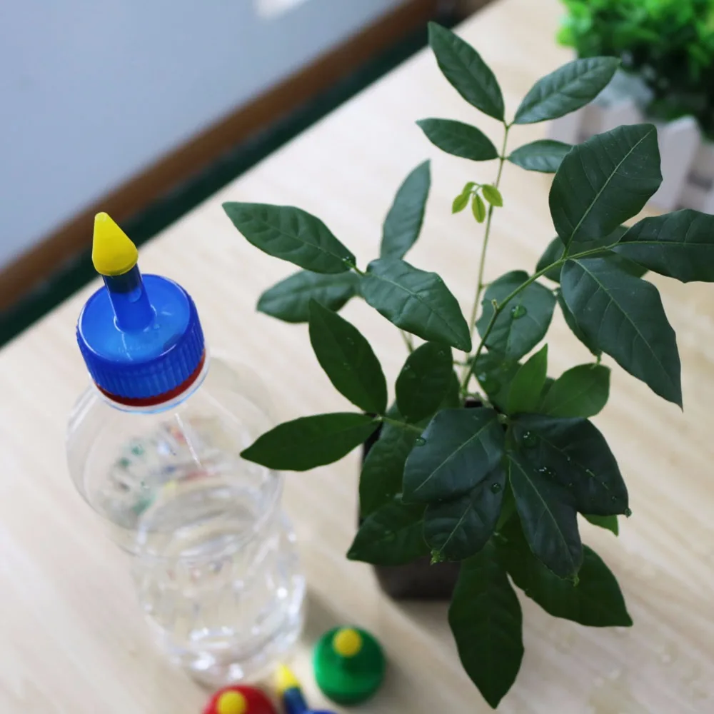 10 шт. пластиковый разбрызгиватель острых точек для суккулентных растений|bottle spray