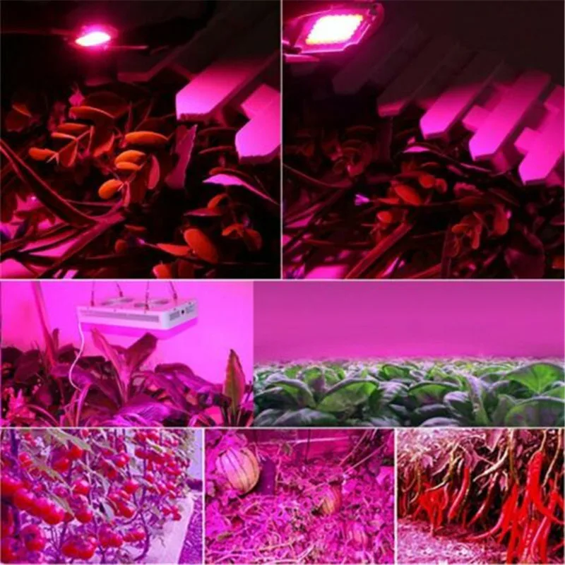

1/10/100PCS AC110V 220V COB LED Chip Phyto Lamp Full Spectrum 20W 30W 50W LED Diode Grow Lights fitolampy For Seedlings Indoor
