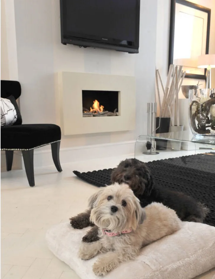 

on sale 24'' smart fireplace bio fireplaces for home decoration indoor house