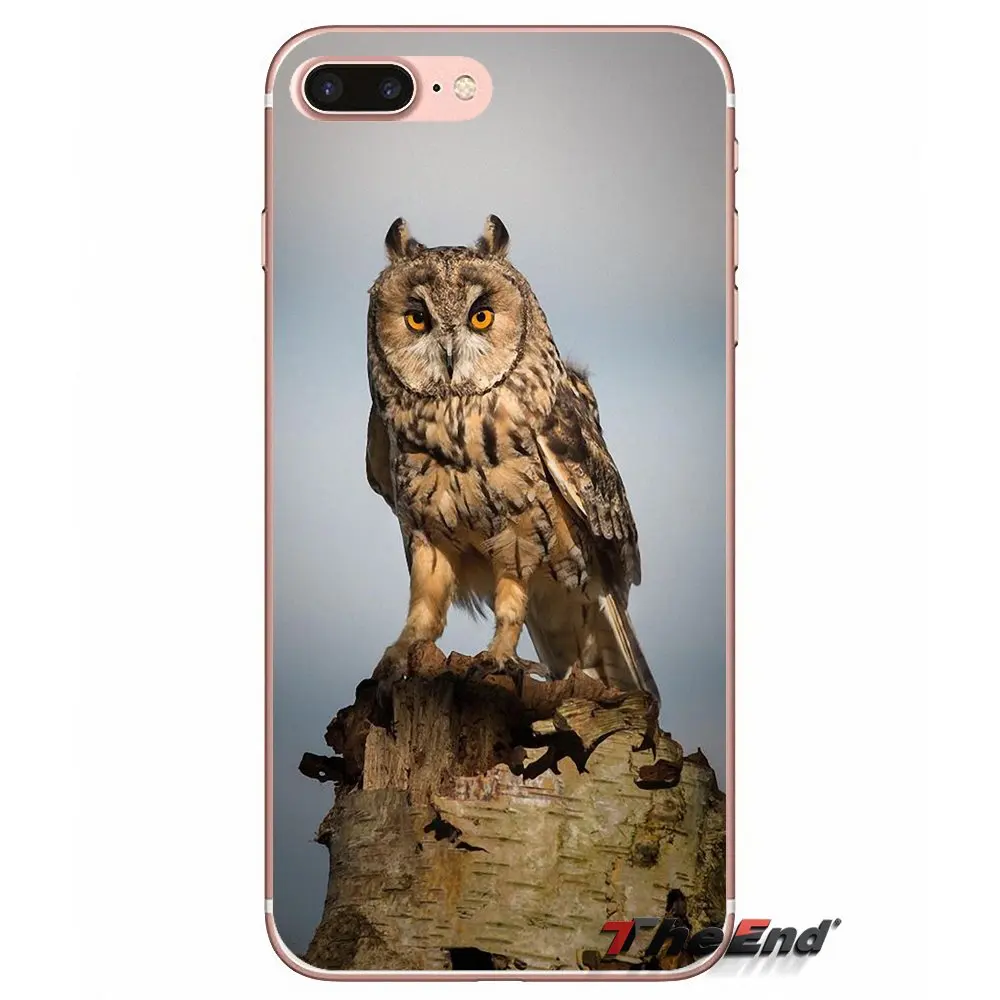 Длинный Ушастый Сова Asio otus Силиконовый ТПУ чехол для iPhone X 4 4S 5 5S 5C SE 6 6S 7 8 Plus Samsung