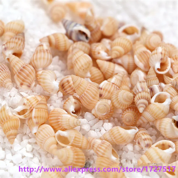 Натуральная раковина самодельный аквариум украшение для дома желтая sallei около 1